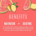 اسکراب و پاکساز کف سر کانتو مدل Guava & Ginger حجم 180 میل - Image 2