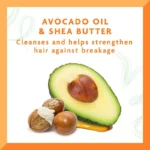 شامپو آبرسان موی فر کانتو مدل AVOCADO حجم 400 میل - Image 2