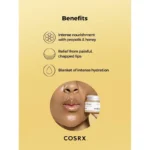 ماسک خواب لب عسل کوزارکس replenish وزن 20گرم - Image 7